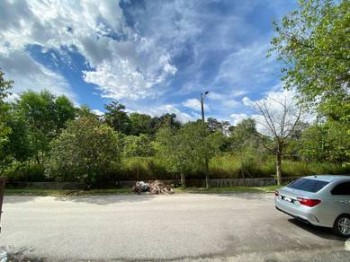 Photo #7