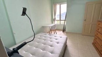 Foto #6