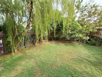 Photo #8