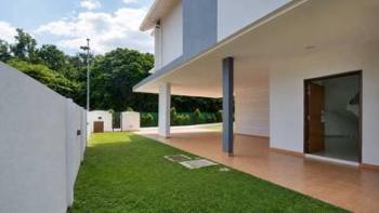 Photo #6