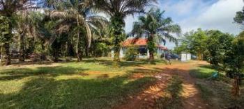 Bungalow at Jalan Yong Peng - Parit Sulong, Batu Pahat, photo 1
