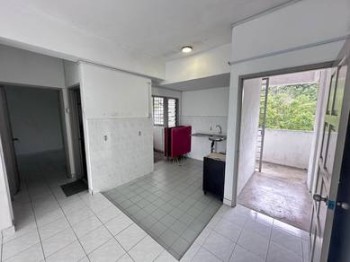 Photo #2