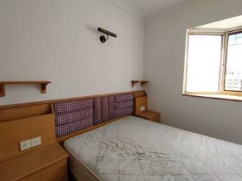 Foto #6