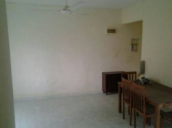 Photo #3