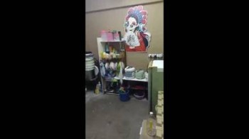 照片 #9