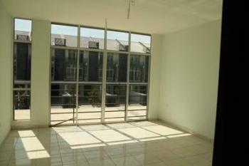 Photo #6