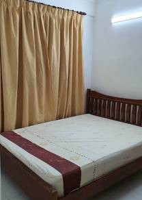 Photo #5