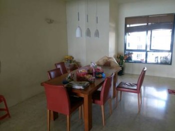 Photo #7