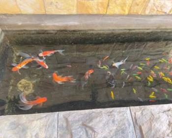 Bukit Bandaraya, Seksyen U11, Shah Alam的房屋，照片2