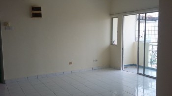 Photo #8
