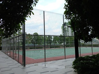 Photo #16