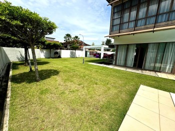 Photo #8