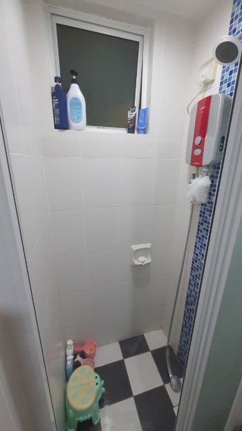 Photo #12