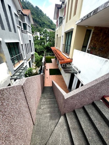 Photo #15
