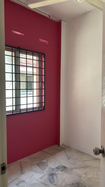 Photo #8