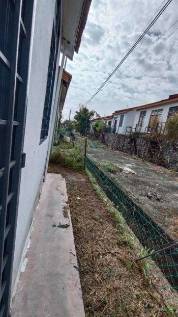 Photo #9