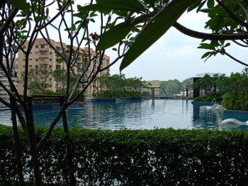 Photo #15