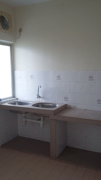 Photo #12