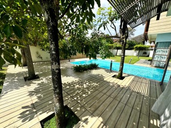Photo #6