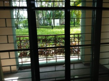 Photo #14