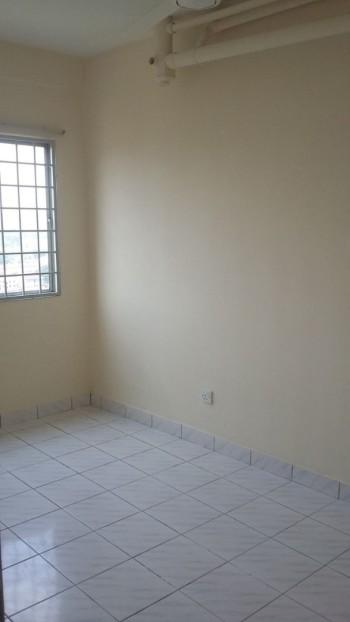 Photo #13