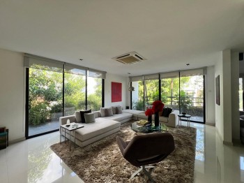 Photo #7