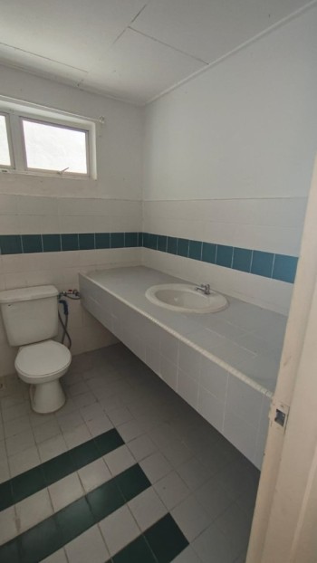 Photo #5