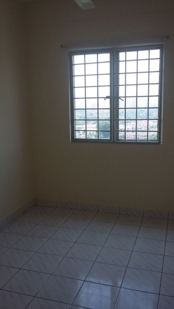Photo #7