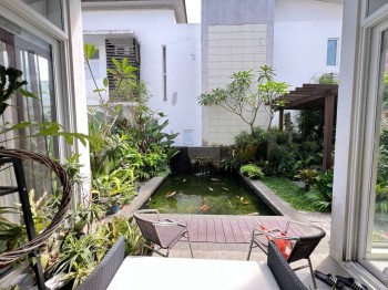 Photo #6