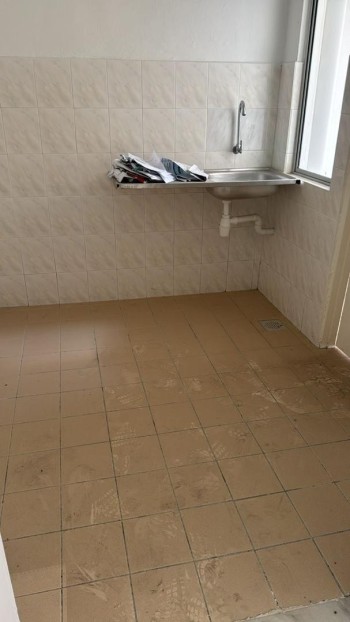 Photo #11