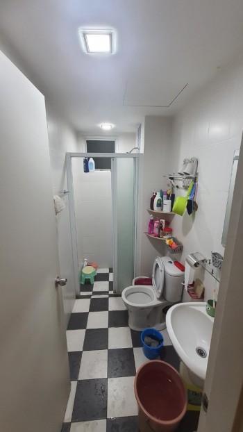 Photo #11