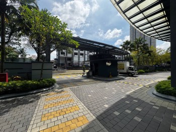 Photo #4