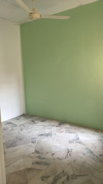 Photo #7