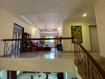 Photo #6