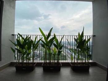 Kondominium di Geo Bukit Rimau, Shah Alam, foto 9