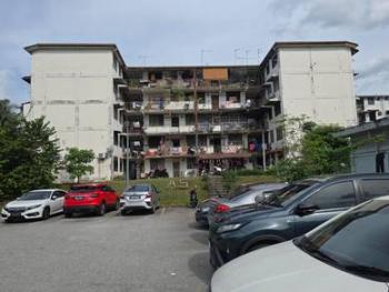 Photo #8