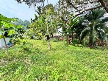 Bungalow at Sunny Garden, Kota Kinabalu, photo 4
