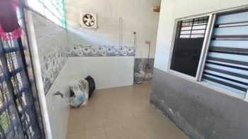 Photo #6