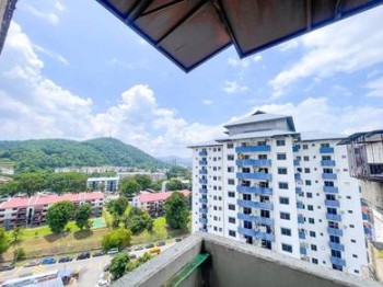 Photo #9