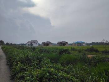 Banglo di Kg. Bechah Kura, Peringat, foto 7