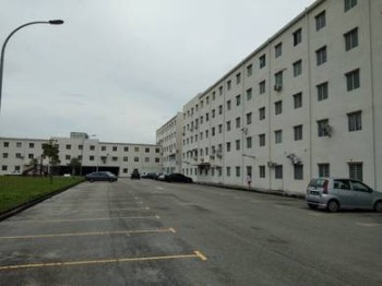 Photo #8