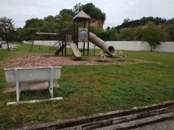 Photo #7