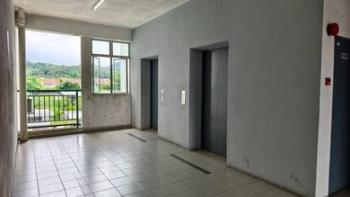Photo #5