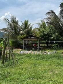Bungalow at Selising, Selising, photo 4