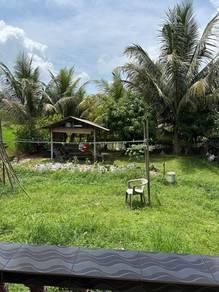 Bungalow at Selising, Selising, photo 7