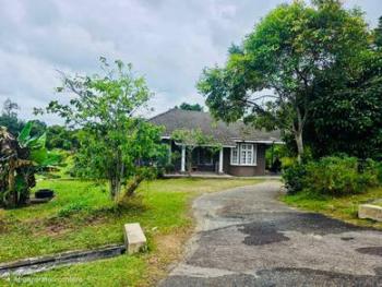 Bungalow at Aspa Cottage, Kuantan, photo 2