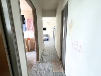 照片 #8
