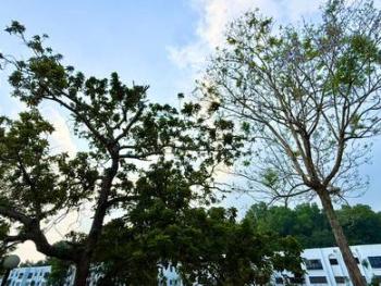 Rumah Bandar di Country Heights Kajang, Kajang, foto 7