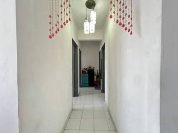 Photo #7