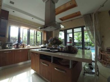 Photo #5